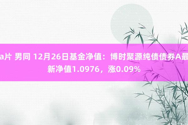 a片 男同 12月26日基金净值：博时聚源纯债债券A最新净值1.0976，涨0.09%