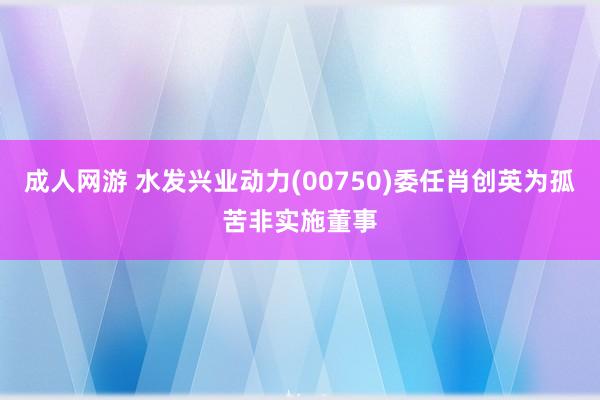 成人网游 水发兴业动力(00750)委任肖创英为孤苦非实施董事
