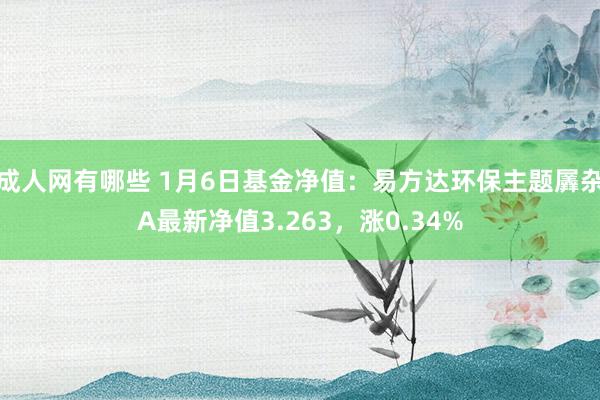 成人网有哪些 1月6日基金净值：易方达环保主题羼杂A最新净值3.263，涨0.34%