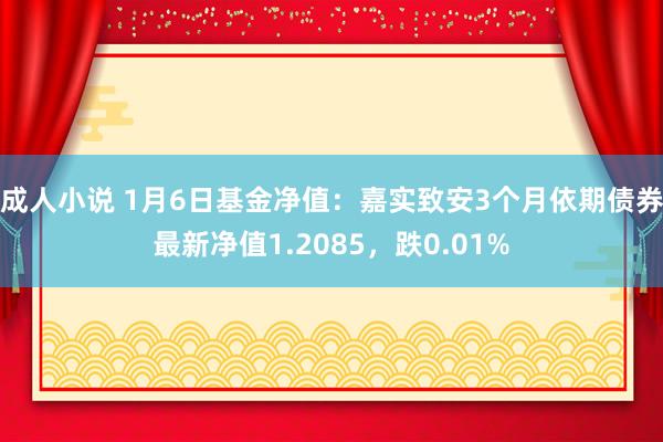 成人小说 1月6日基金净值：嘉实致安3个月依期债券最新净值1.2085，跌0.01%
