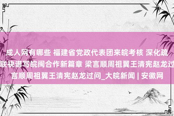 成人网有哪些 福建省党政代表团来皖考核 深化疏通联接促进互利共赢 联袂谱写皖闽合作新篇章 梁言顺周祖翼王清宪赵龙过问_大皖新闻 | 安徽网
