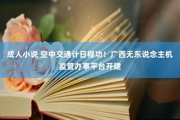 成人小说 空中交通计日程功！广西无东说念主机监管办事平台开建
